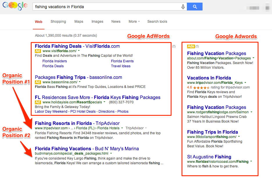 Google Search Results Sample - Adwords and Organic