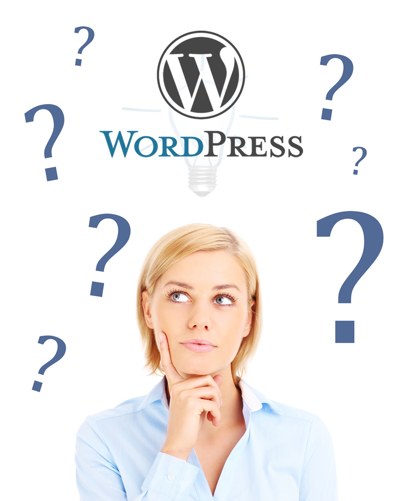 How to find the best WordPress developer for my WordPress project