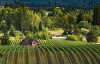 Highly Productive and Stunning Winery Websites for Willamette Valley Oregon Wineries