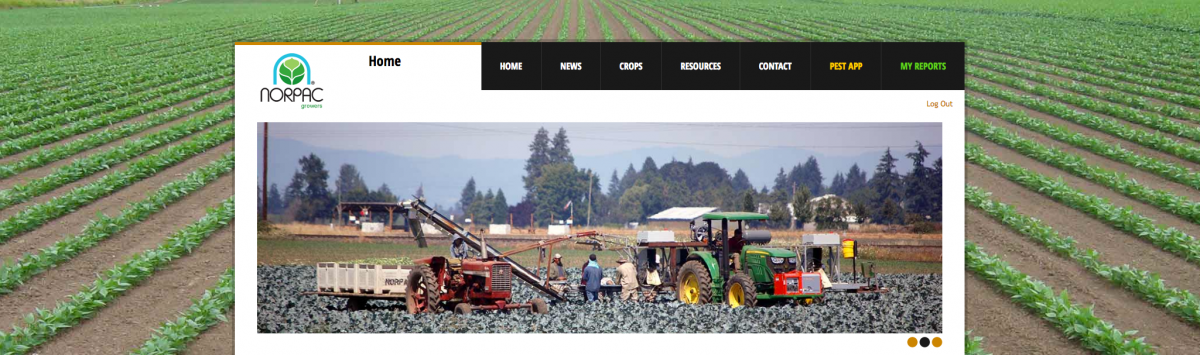 Agricultural Web Design